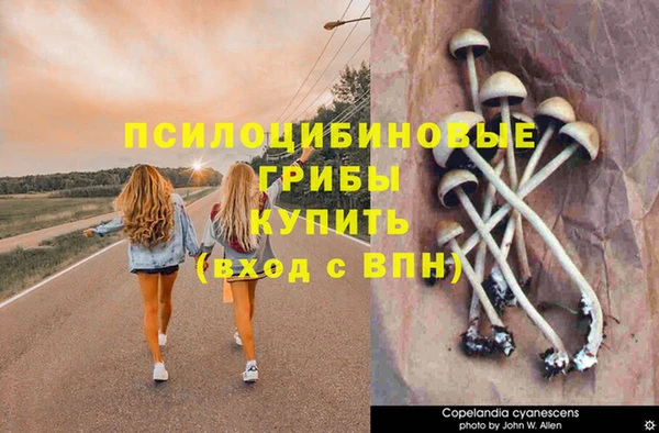 таблы Балахна