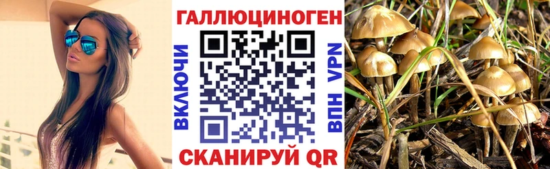 гидра сайт  продажа наркотиков  Кунгур  Галлюциногенные грибы мухоморы 